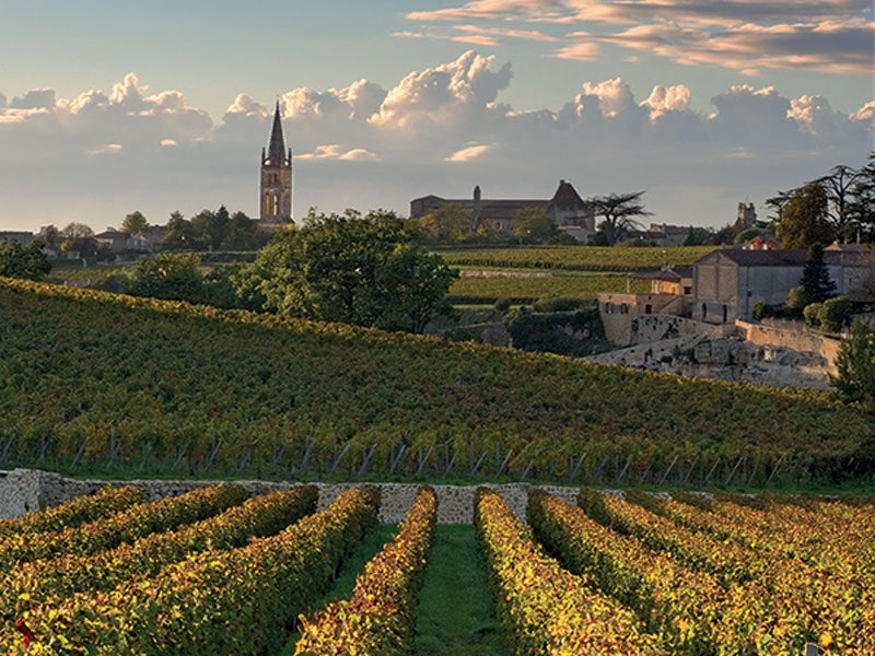 Château Angelus