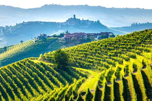 italian wine