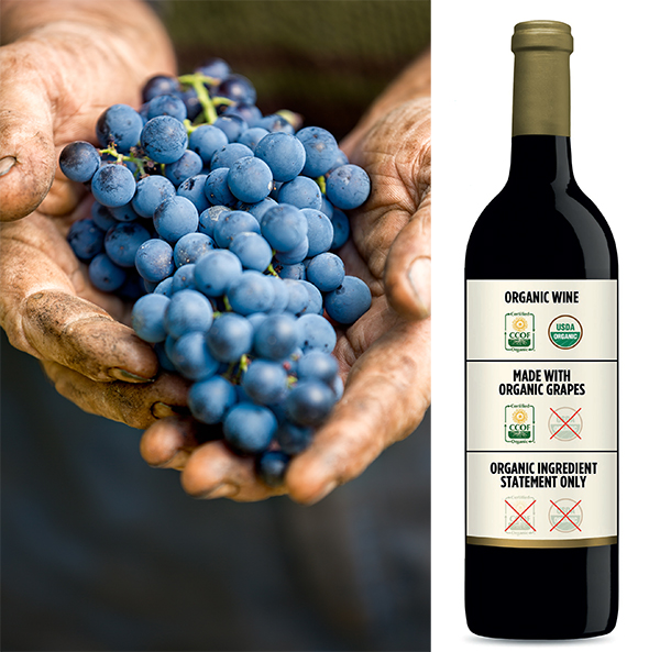 organic wine