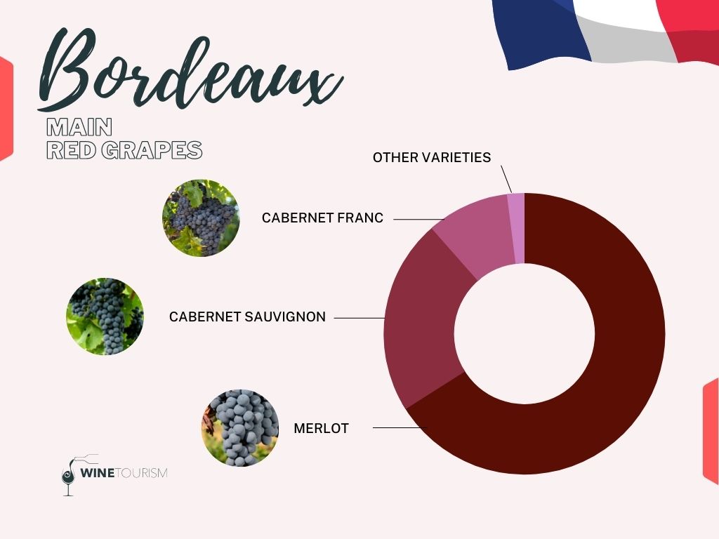 major wine grape varieties