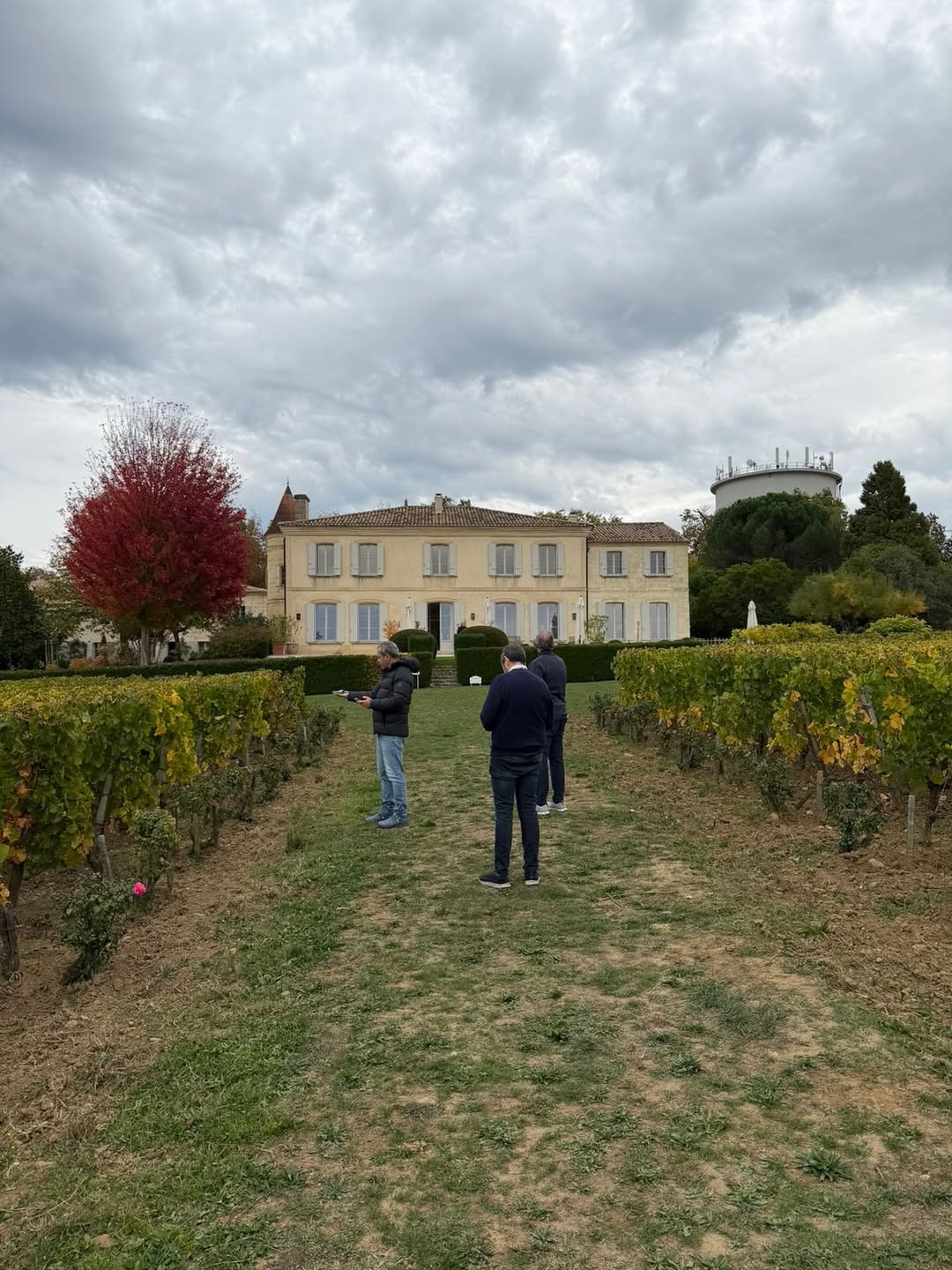 Live the Bordeaux experience & be part of our journey through the world’s most iconic vineyards. (6)