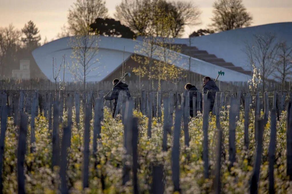Cheval Blanc 2025 En Primeur