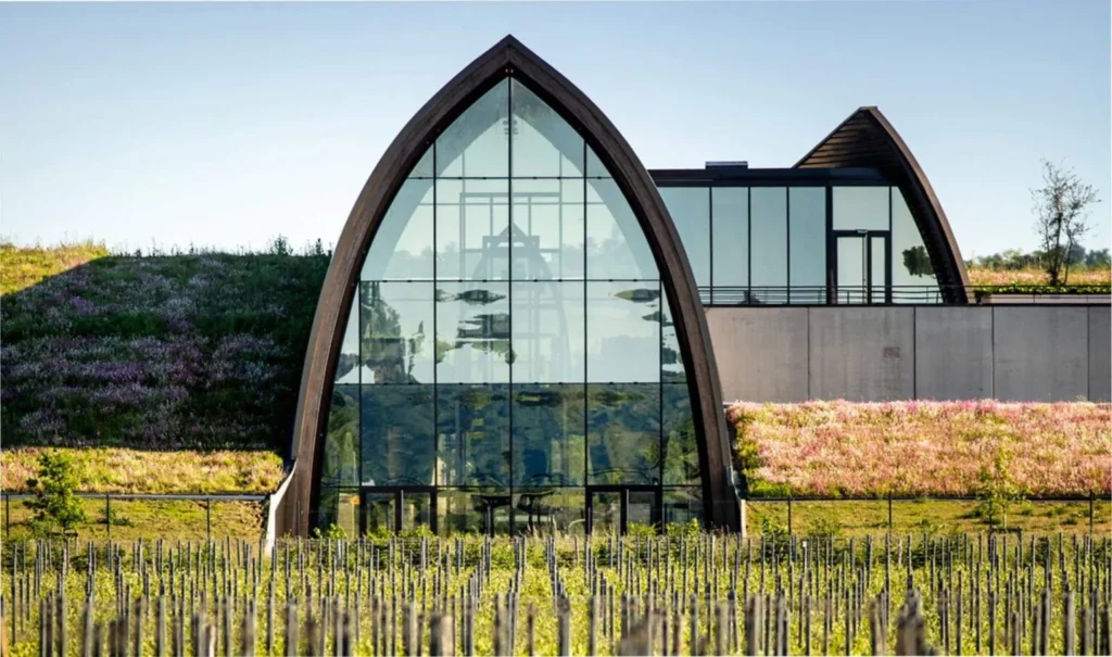 Angelus 2025 En Primeur